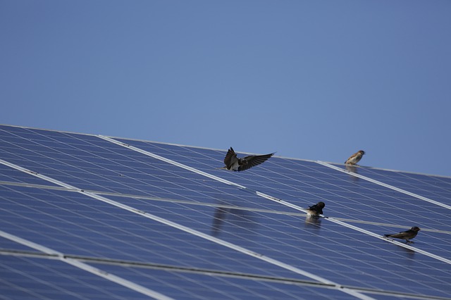 Solární panely střecha